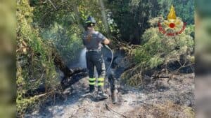 Incendio di sterpaglie spento dai vigili del fuoco