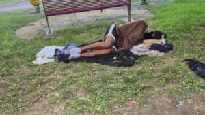 Viale Ungheria, il comitato rilancia la battaglia contro il degrado