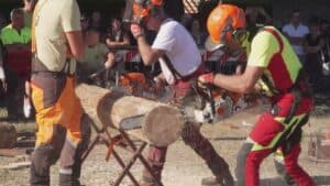 La “Festa del Boscaiolo” anima il centro di Rivignano