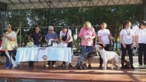 “Divertimento a 6 zampe” unisce cani e padroni
