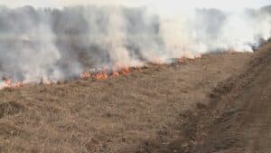 Tre incendi nel Friuli: giornata di emergenze tra campi e boschi
