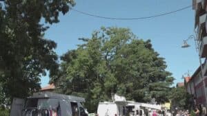 Ultimo caldo, chiusi in casa e in pena per l’orto