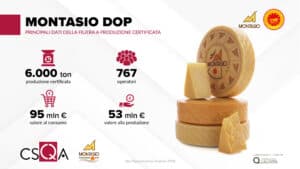 Montasio DOP: una filiera da 95 milioni di euro e 767 operatori