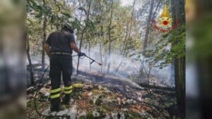 Due incendi divampati in tarda mattinata sul Carso triestino