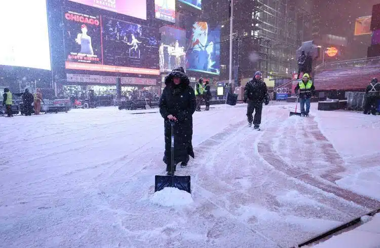 tempesta new york