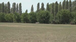 Caldo record, Parco del Cormor deserto
