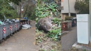 Rifiuti abbandonati e topi, scempio nel Quartiere Aurora