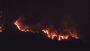 Proposta sospensione caccia nelle aree attigue agli incendi