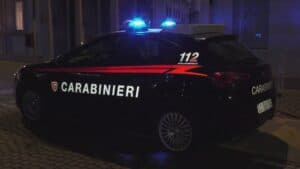 La lite tra fratelli per un gatto finisce all’ospedale