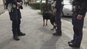Polizia Locale di Udine: arrivano un agente e un cane antidroga