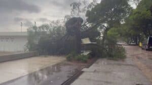 Lignano in ginocchio: stabilimenti distrutti e alberi sradicati