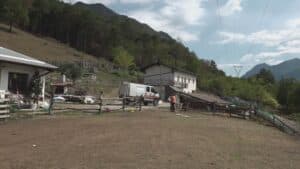 Tra le ceneri dell’incendio sono nati due tacchini ad Amaro