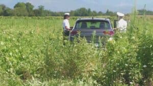 Sbanda per un malore e finisce nei campi: è grave