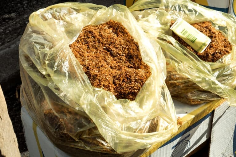 Contrabbando di tabacco dal Belgio: la Guardia di Finanza sequestra 50 chili di makla a Pordenone