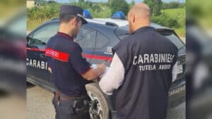 Percepiva disoccupazione e lavorava in nero, attività sospesa