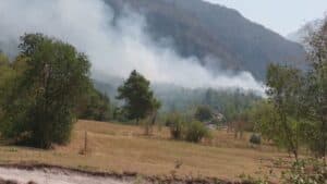 Appello animalisti contro caccia sulla montagna ferita dai roghi