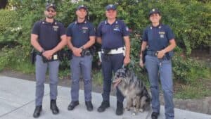 Operazione antidegrado a Pordenone: daspo urbano per quattro