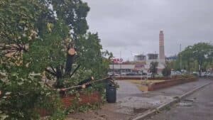 Maltempo a Monfalcone, raffiche di vento a 92 Km/h