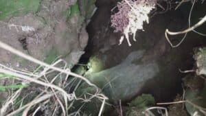 Cane cade in una foiba, salvato dai vigili del fuoco