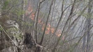 Sono 17 gli incendi monitorati in Fvg