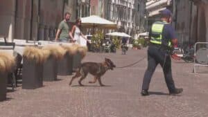 445 grammi di oppiacei scovati da Keila: condannato 32enne