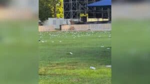 Parco San Valentino una discarica dopo il concerto: è protesta