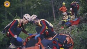 Neonato punto da un calabrone, paura in Val Tramontina