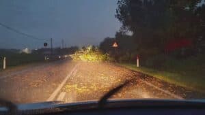 Maltempo, in Fvg alberi sradicati e tetti scoperchiati
