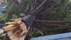 Maltempo in Friuli: bufera sulla costa, devastato l’entroterra
