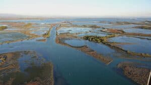 Progetto BRAVE: insieme per il futuro delle valli da pesca della Laguna di Grado