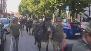 Raduno Triveneto, alpini e muli in marcia da Tarcento a Gemona