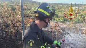 Incendi, spento due volte un focolaio a Sistiana
