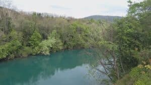 Crisi Isonzo, Ziberna sollecita Ministero Transizione Ecologica