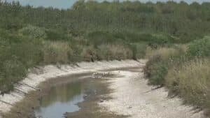 Siccità, situazione critica per aree agricole Pianura friulana