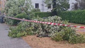 Maltempo, il Fvg fa la conta dei danni