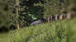 Con il pick-up nella scarpata, muore imprenditrice di Zahre Beer